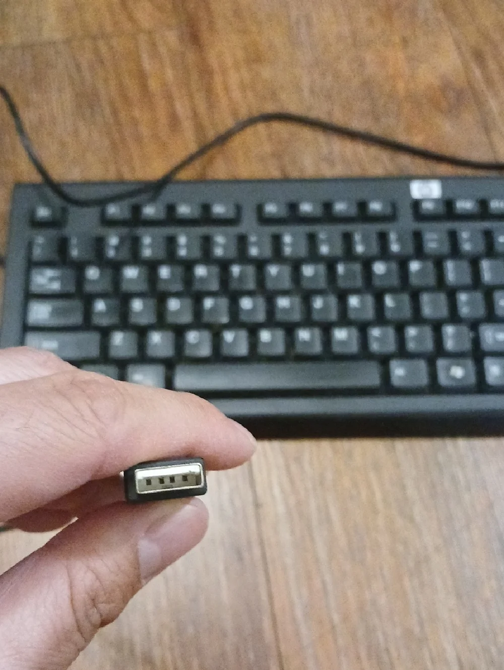 HP Black USB Wired Desktop Keyboard